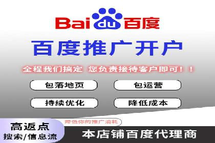 百度广告投放策略优化的经典案例